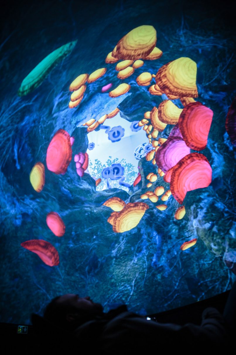 Hyphosphere Fulldome