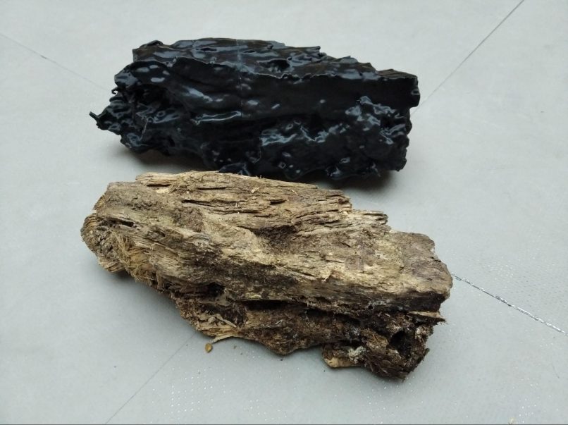 decay wood leaking bodies 3D print scan