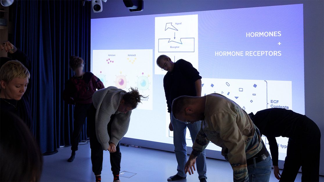 group using hormones and receptors as inspiration for movement