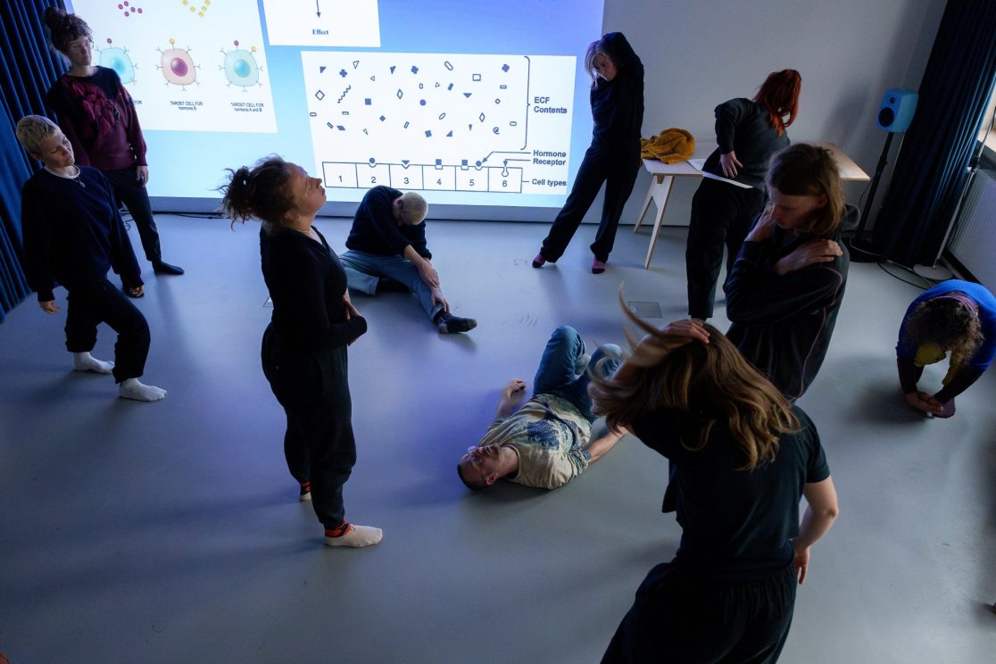 Workshop group performing somatic movement practice